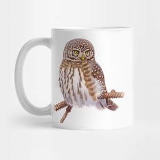 Eurasian Pygmy Owl Mug